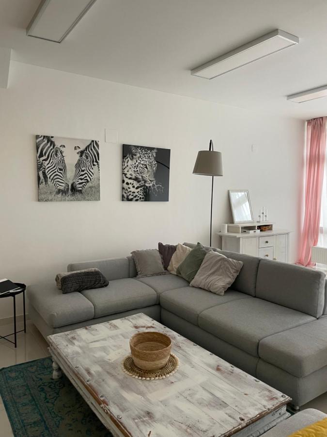 Stadtsuite Mit Sauna In Wiener Neustadt 135 M2 エクステリア 写真