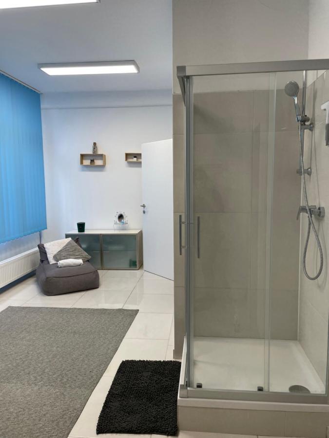 Stadtsuite Mit Sauna In Wiener Neustadt 135 M2 エクステリア 写真