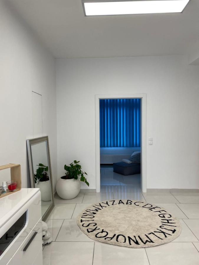 Stadtsuite Mit Sauna In Wiener Neustadt 135 M2 エクステリア 写真