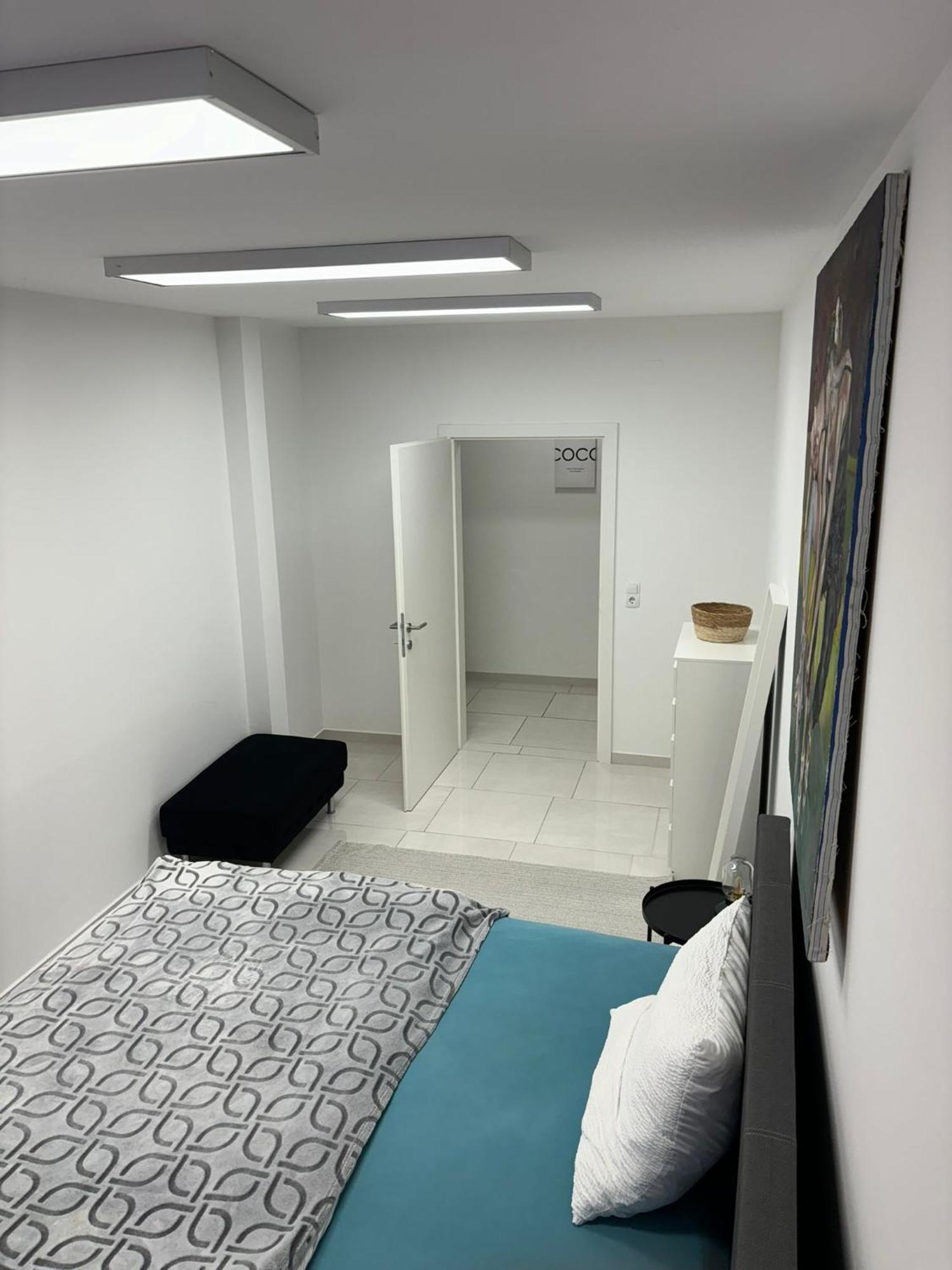 Stadtsuite Mit Sauna In Wiener Neustadt 135 M2 エクステリア 写真