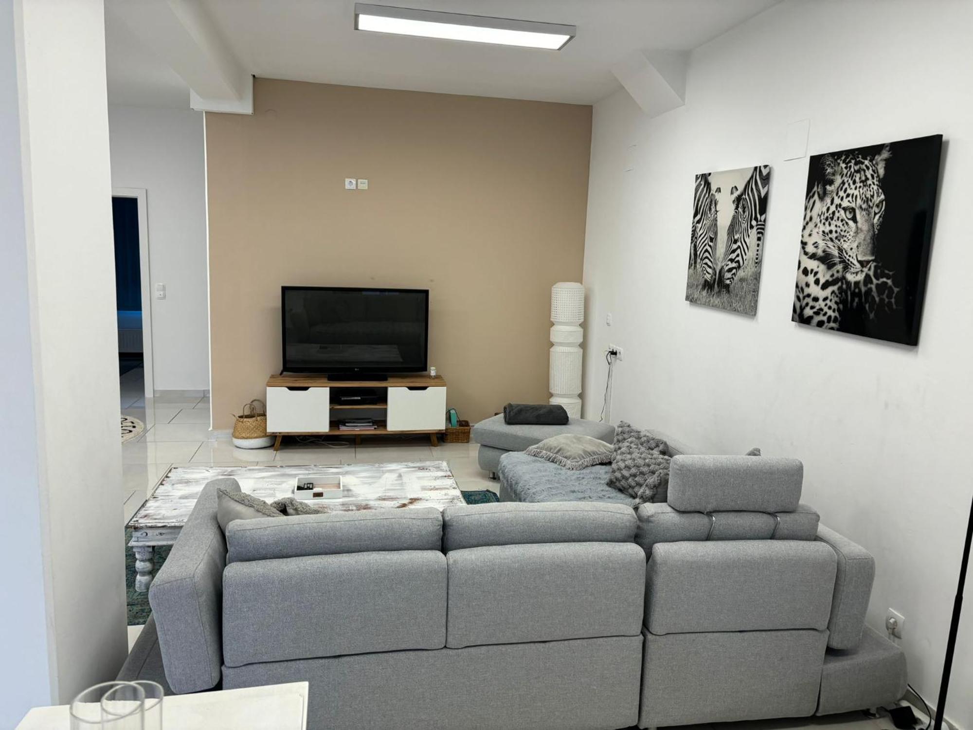 Stadtsuite Mit Sauna In Wiener Neustadt 135 M2 エクステリア 写真